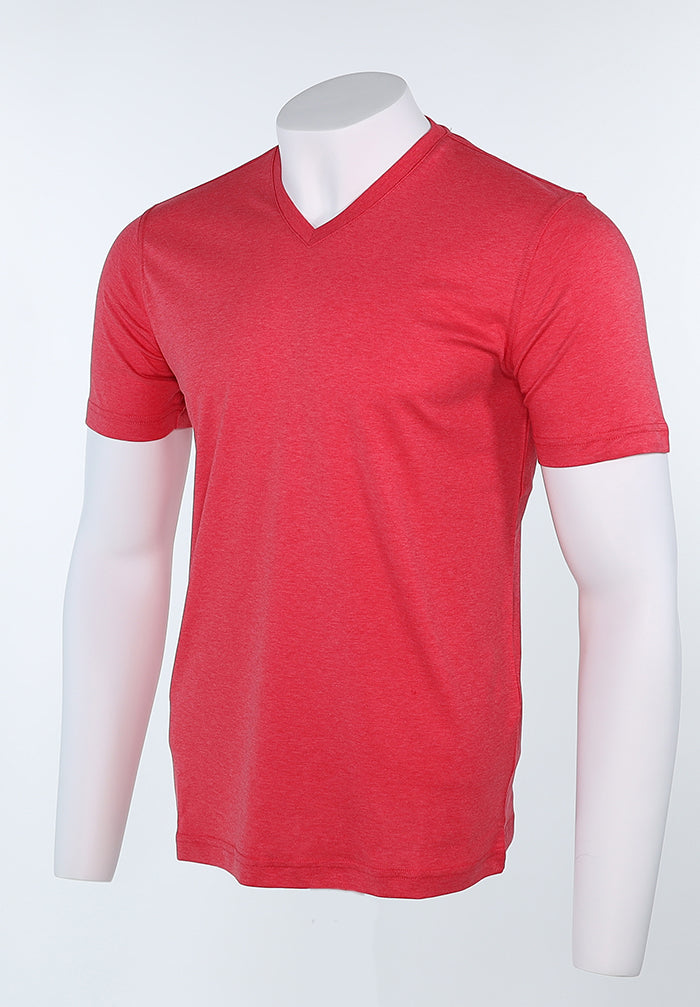 Raffi Aqua Cotton Noah V-Neck Tee in Berry – view 4 #Color_Berry