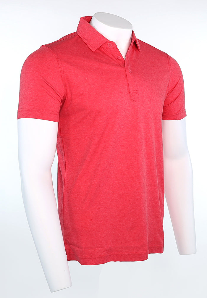 Raffi Aqua Cotton Sherwood Polo in Berry – view 4 #Color_Berry