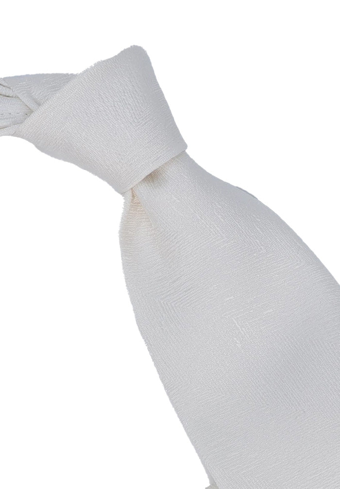 Italo Ferretti Men's Tie In Crisp White Tone Close Up