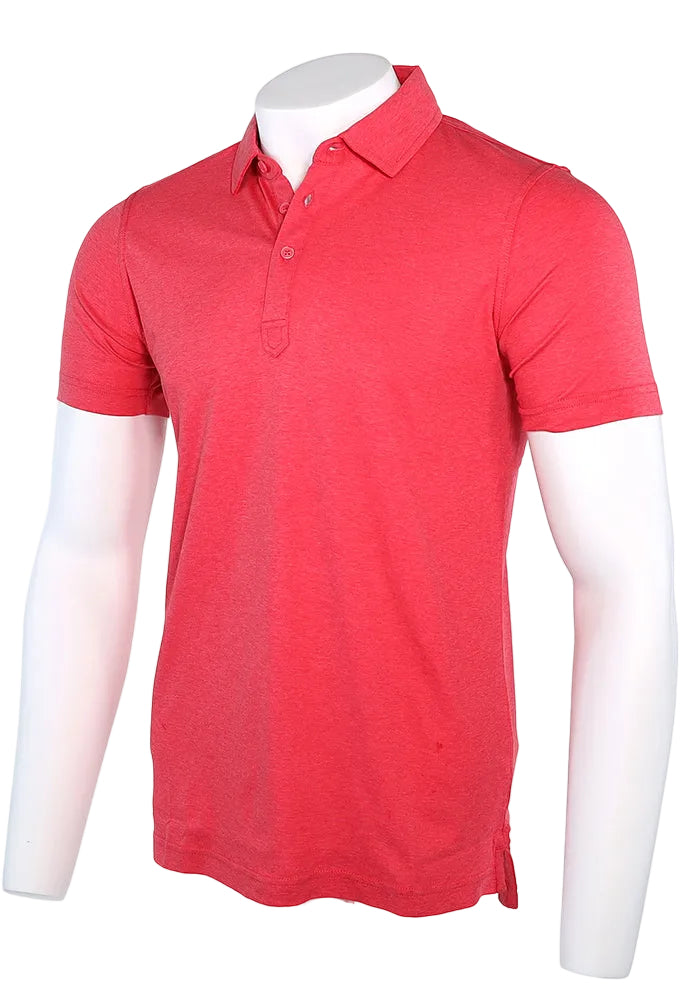 Raffi Aqua Cotton Sherwood Polo in Berry – view 3 #Color_Berry