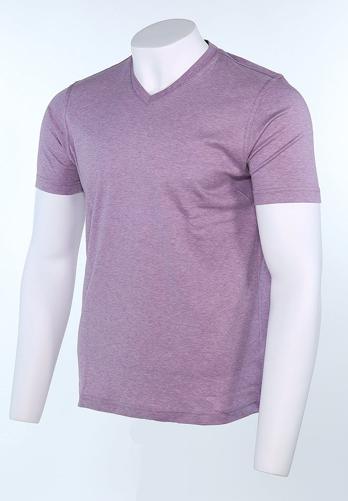 Raffi Aqua Cotton Noah V-Neck Tee in Lilac – view 3 #Color_Lilac
