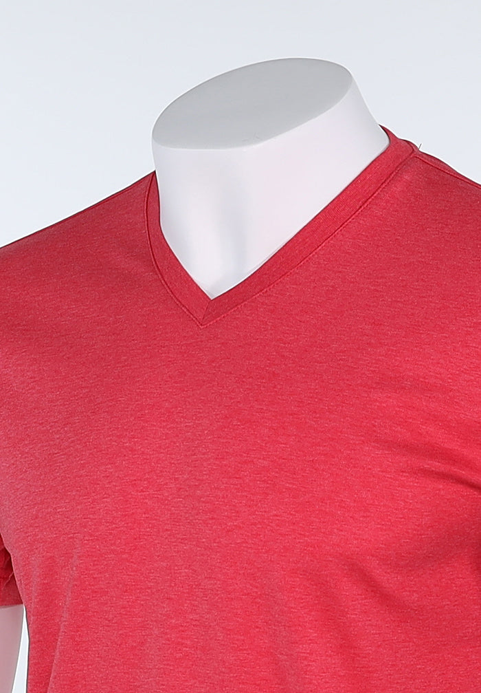 Raffi Aqua Cotton Noah V-Neck Tee in Berry – view 2 #Color_Berry