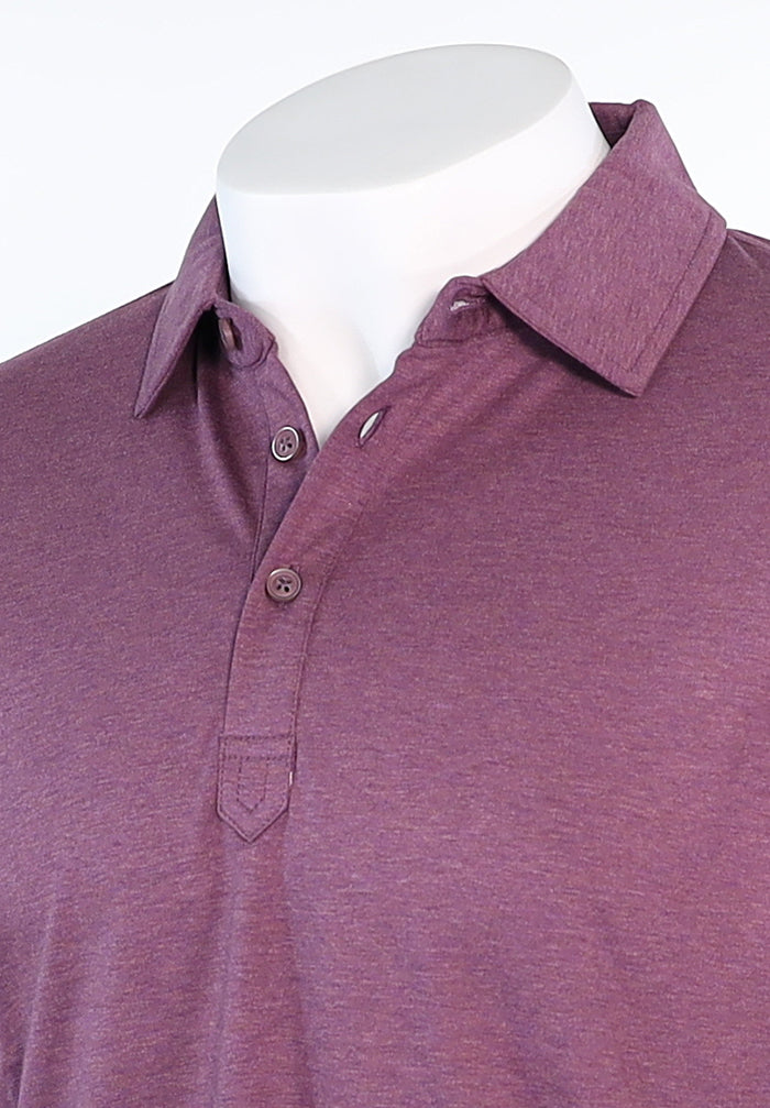 Raffi Aqua Cotton Sherwood Polo in Plum – view 2 #Color_Plum