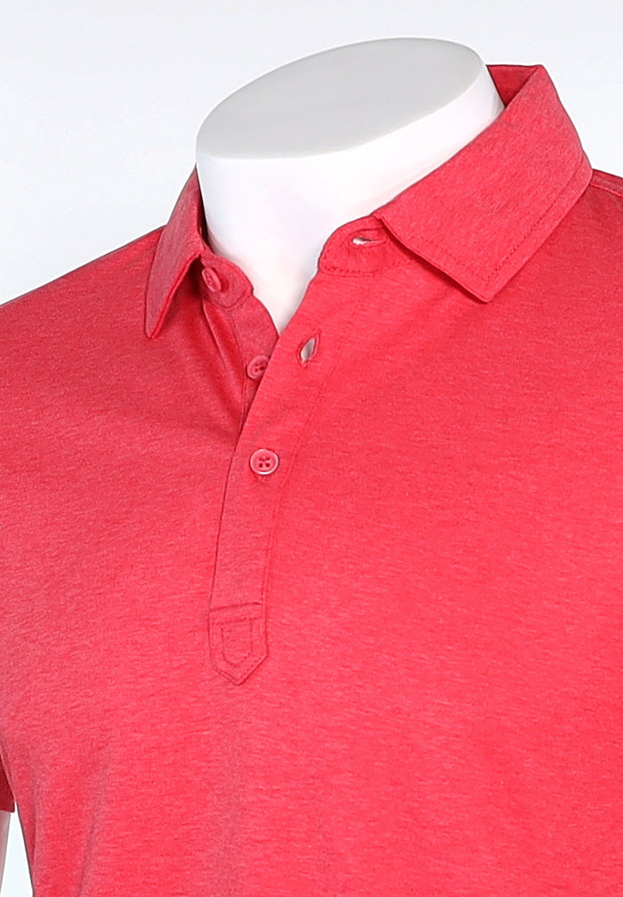 Raffi Aqua Cotton Sherwood Polo in Berry – view 2 #Color_Berry