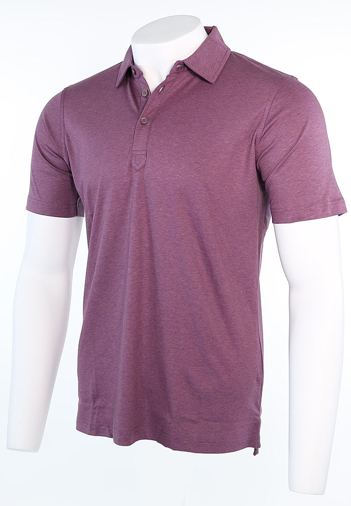 Raffi Aqua Cotton Sherwood Polo in Plum – view 3 #Color_Plum