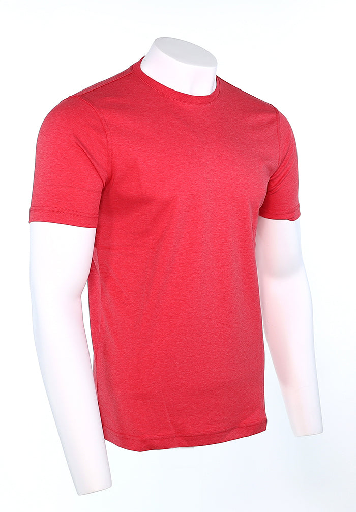 Raffi Aqua Cotton Lafayette Crew Neck Tee in Berry – view 3 #Color_Berry