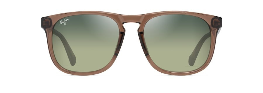 Polarized Classic Sunglasses