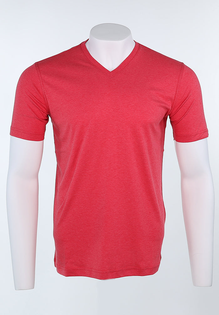 Raffi Aqua Cotton Noah V-Neck Tee in Berry | Mondo Uomo Naples FL #Color_Berry