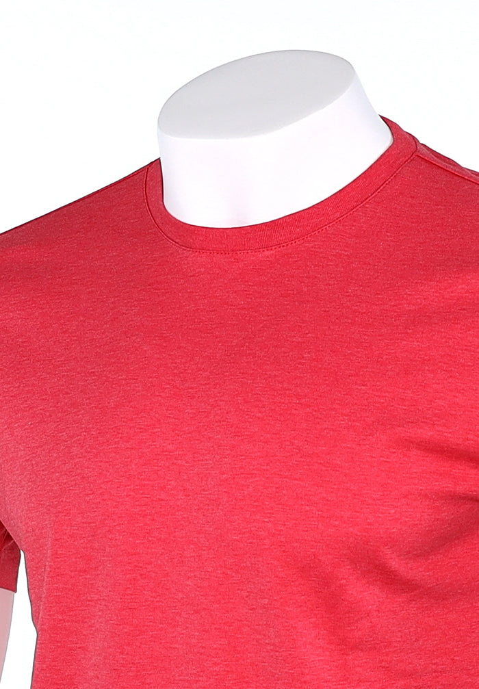 Raffi Aqua Cotton Lafayette Crew Neck Tee in Berry – view 4 #Color_Berry