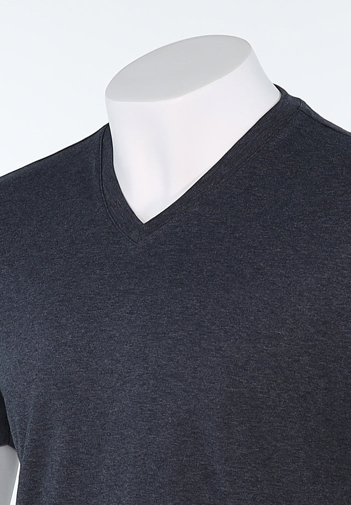 Raffi Aqua Cotton Noah V-Neck Tee in Carbon – view 2 #Color_Carbon