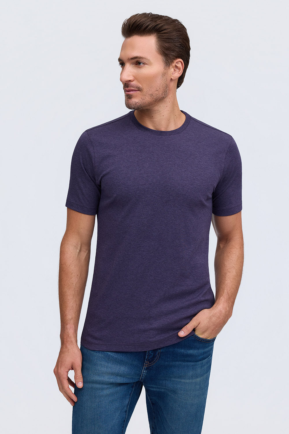 Raffi Aqua Cotton Lafayette Crew Neck Tee in Eggplant | Mondo Uomo Naples FL #Color_Eggplant